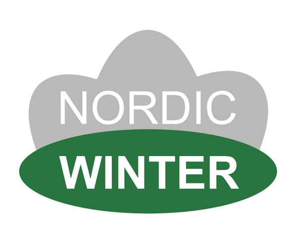 NORDIC WINTER Kranssi Ø50 cm mustikoilla